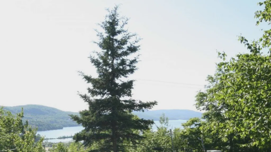Photo of Outdoor in Mont-Tremblant