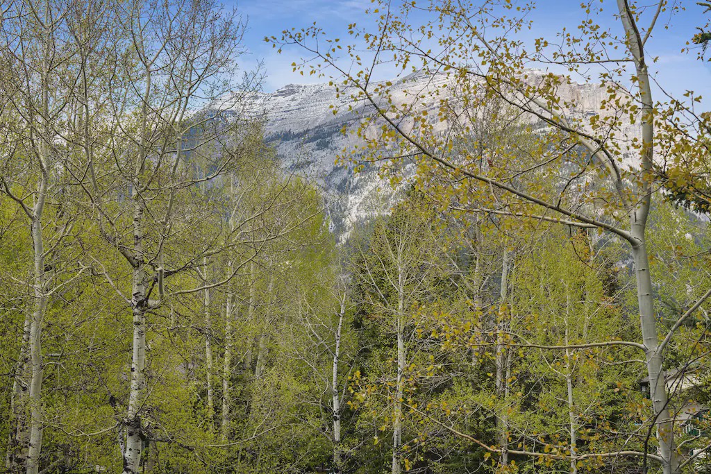Photo of Outdoor in Copperstone Resort