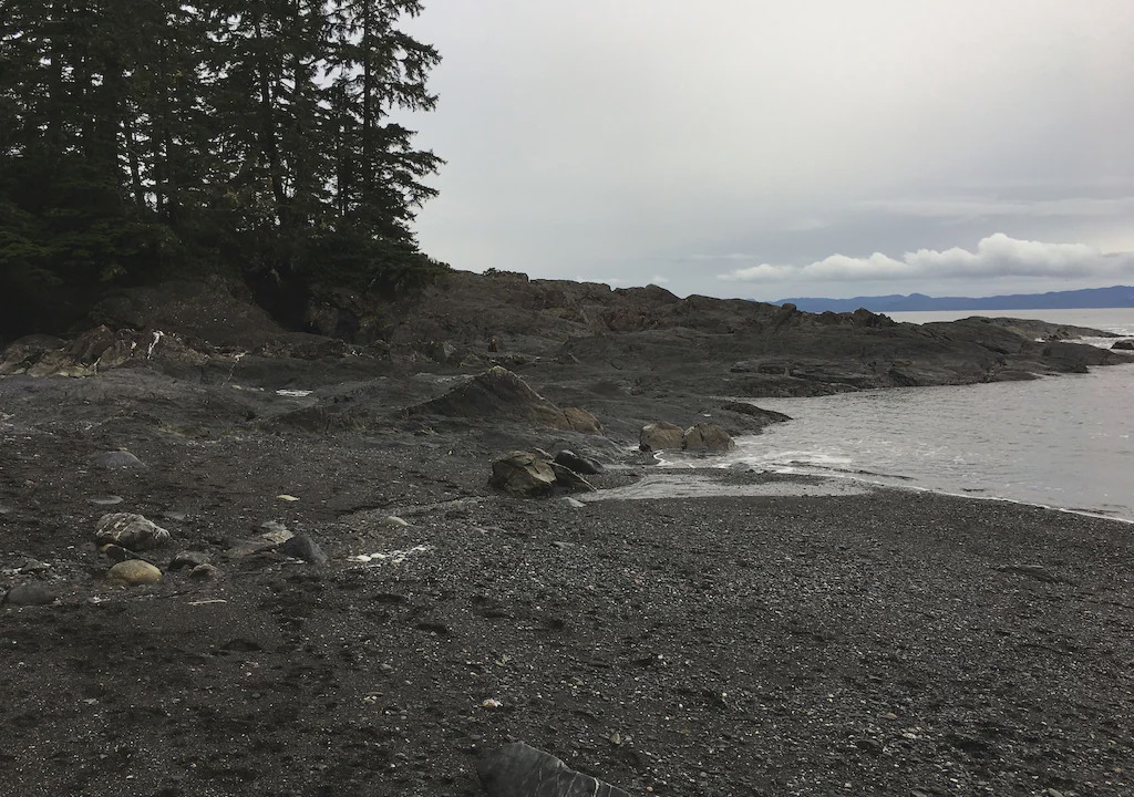 Photo of Others in Port Renfrew