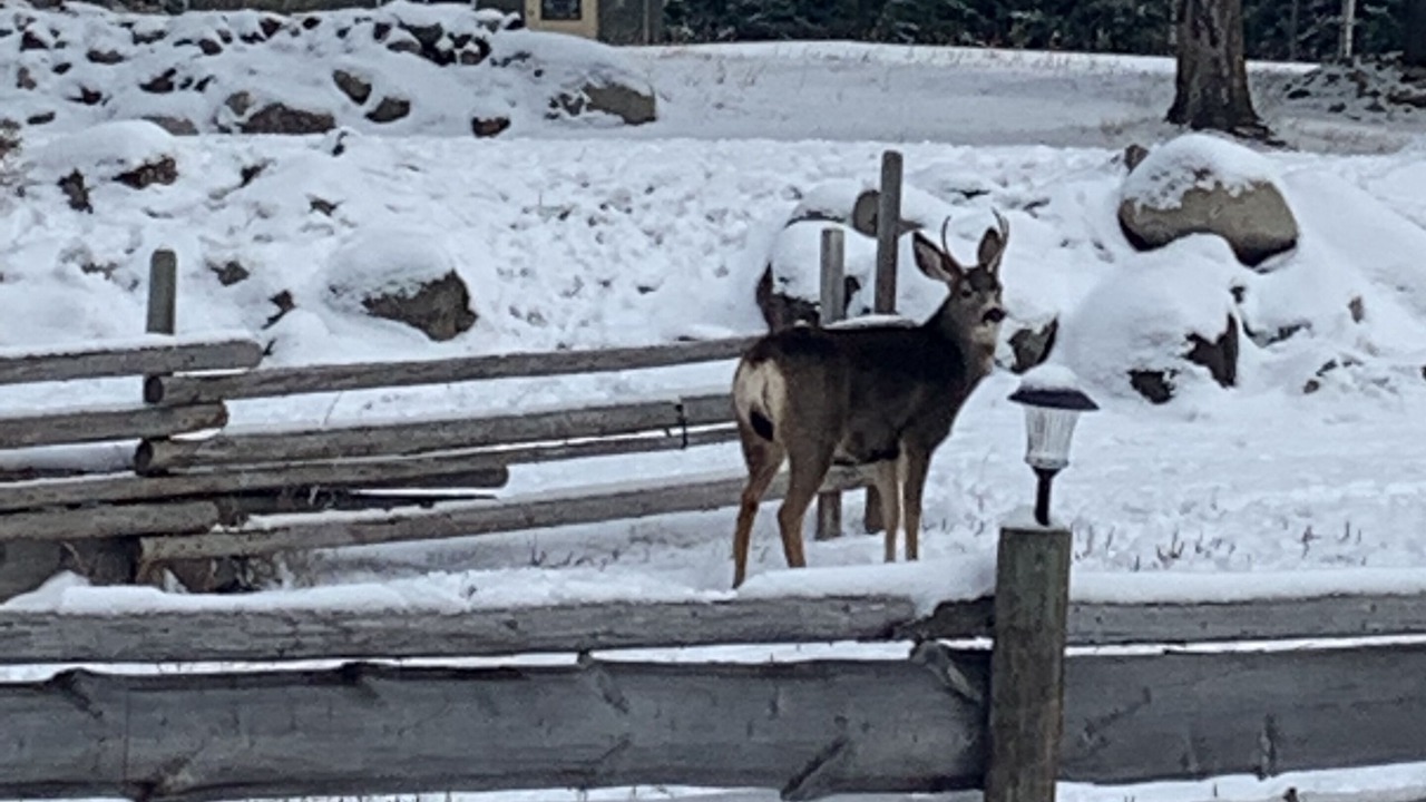 Photo of Outdoor in Deka Lake