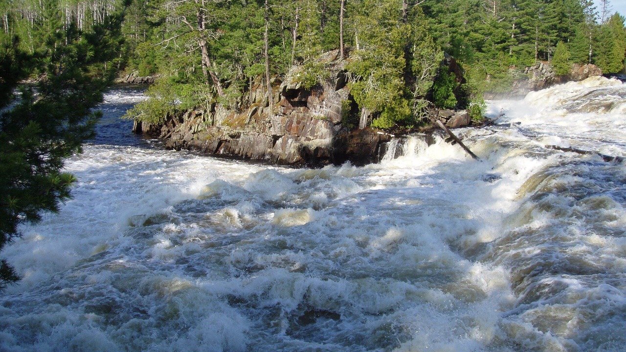 Photo of Others in Rainy River District