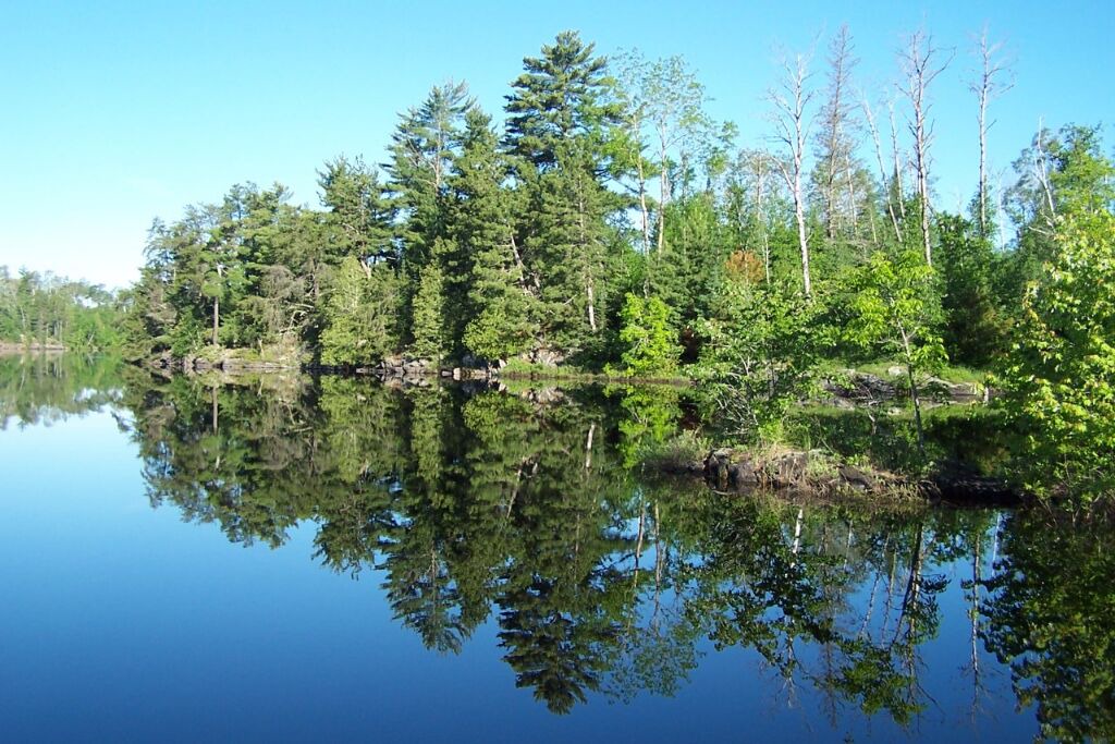 Photo of Others in Rainy River District