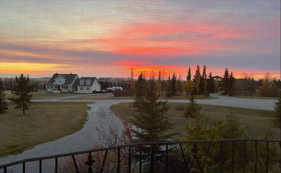 Photo of Outdoor in Springbank