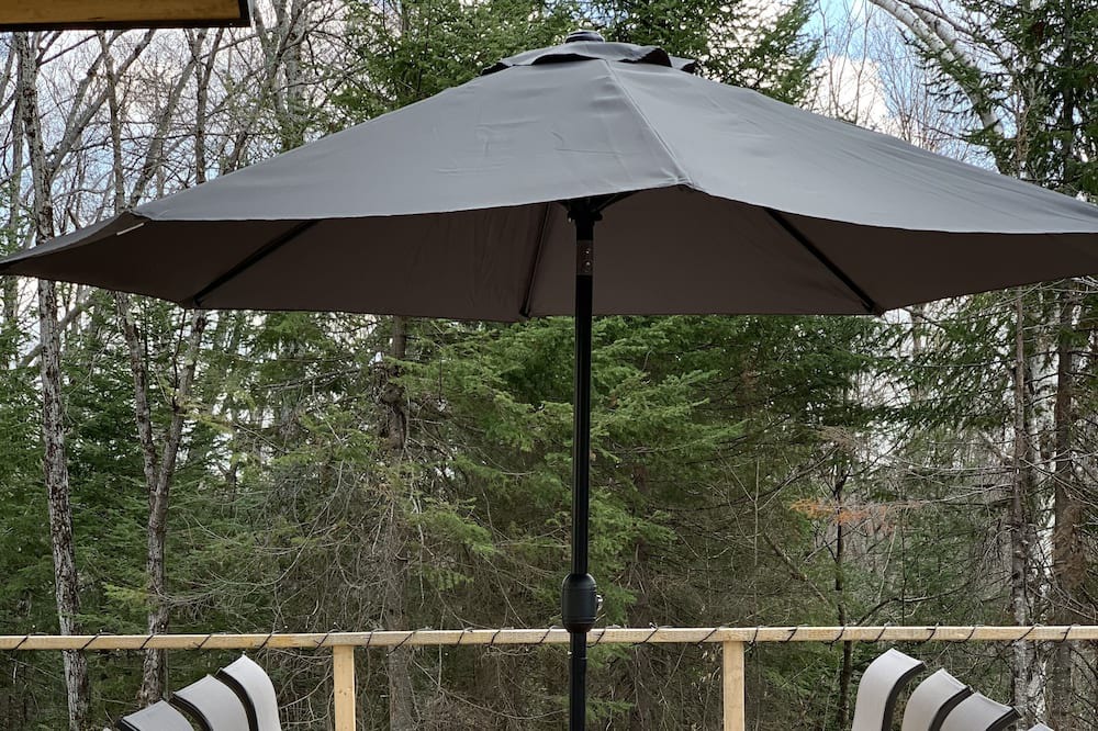 Photo of Patio Balcony in Entrelacs