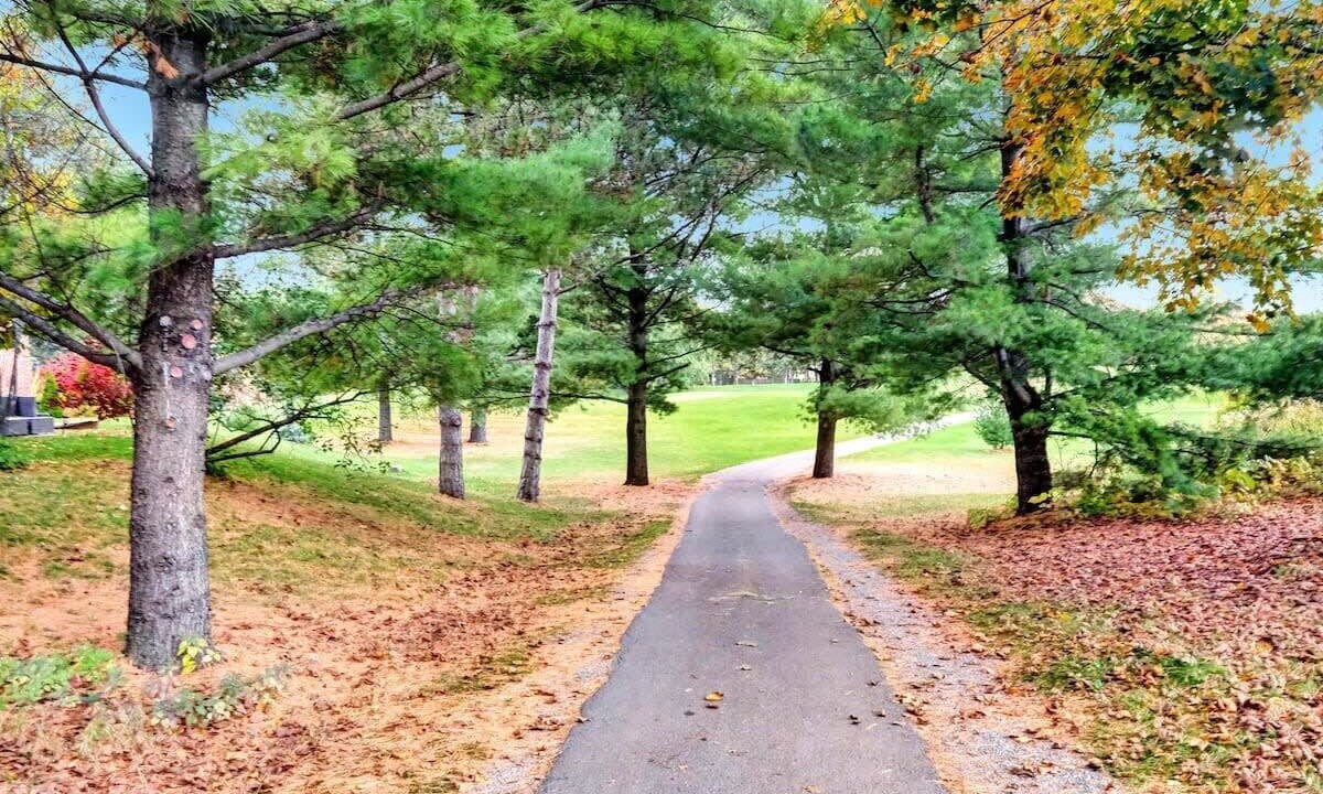 Photo of Outdoor in Calabogie