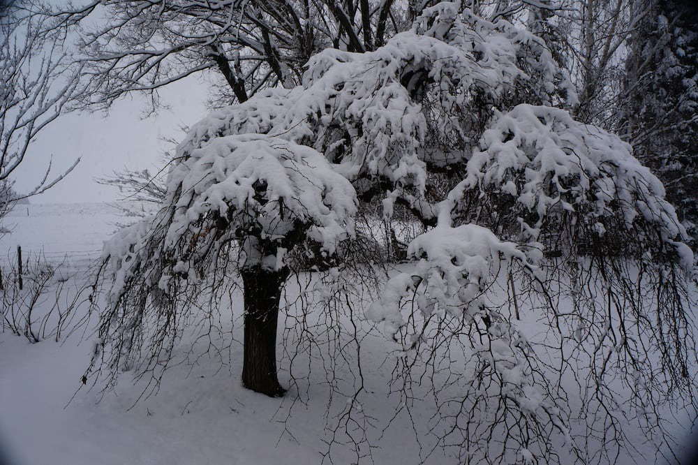 Photo of Outdoor in Bas-Saint-Laurent