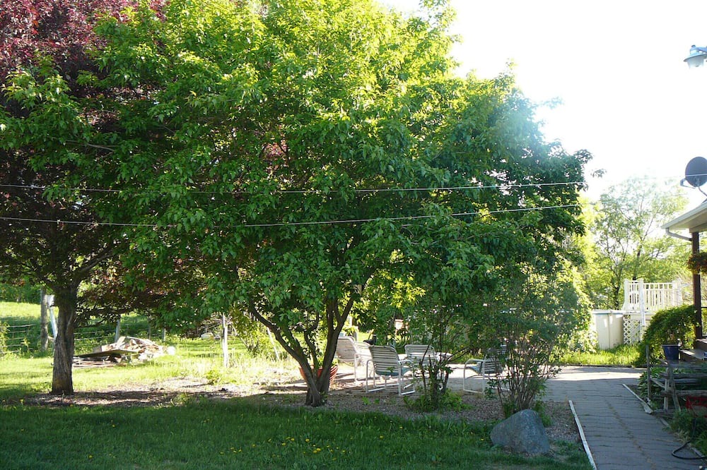 Photo of Outdoor in Bas-Saint-Laurent