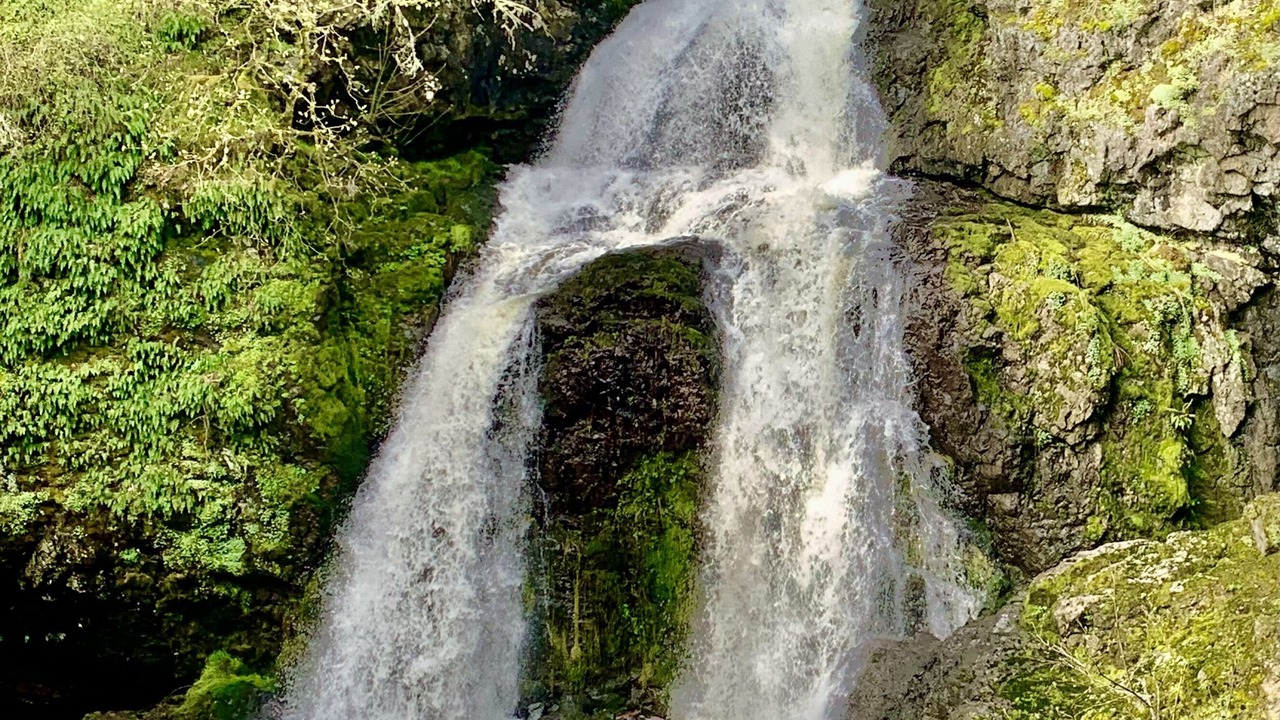 Photo of Others in Metchosin
