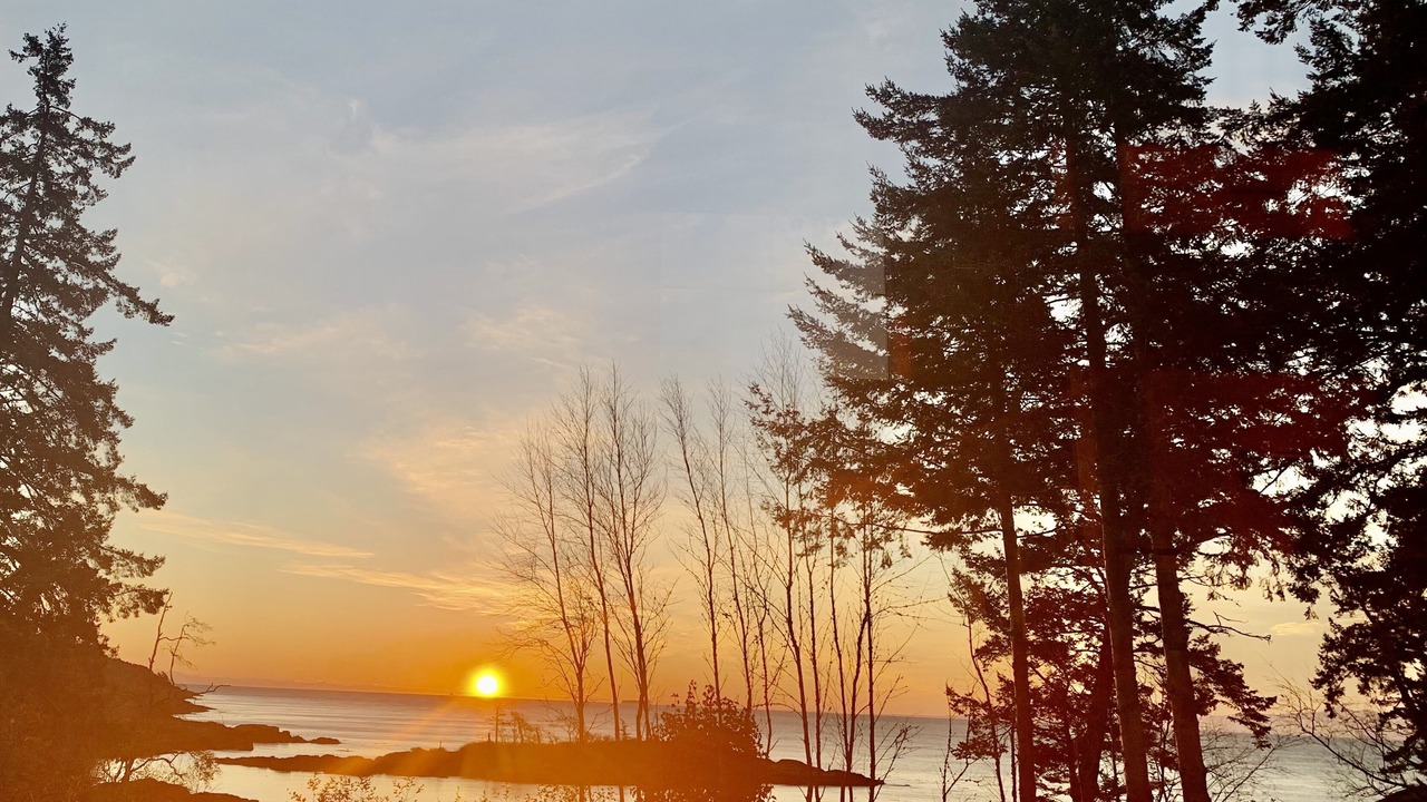 Photo of Outdoor in Metchosin