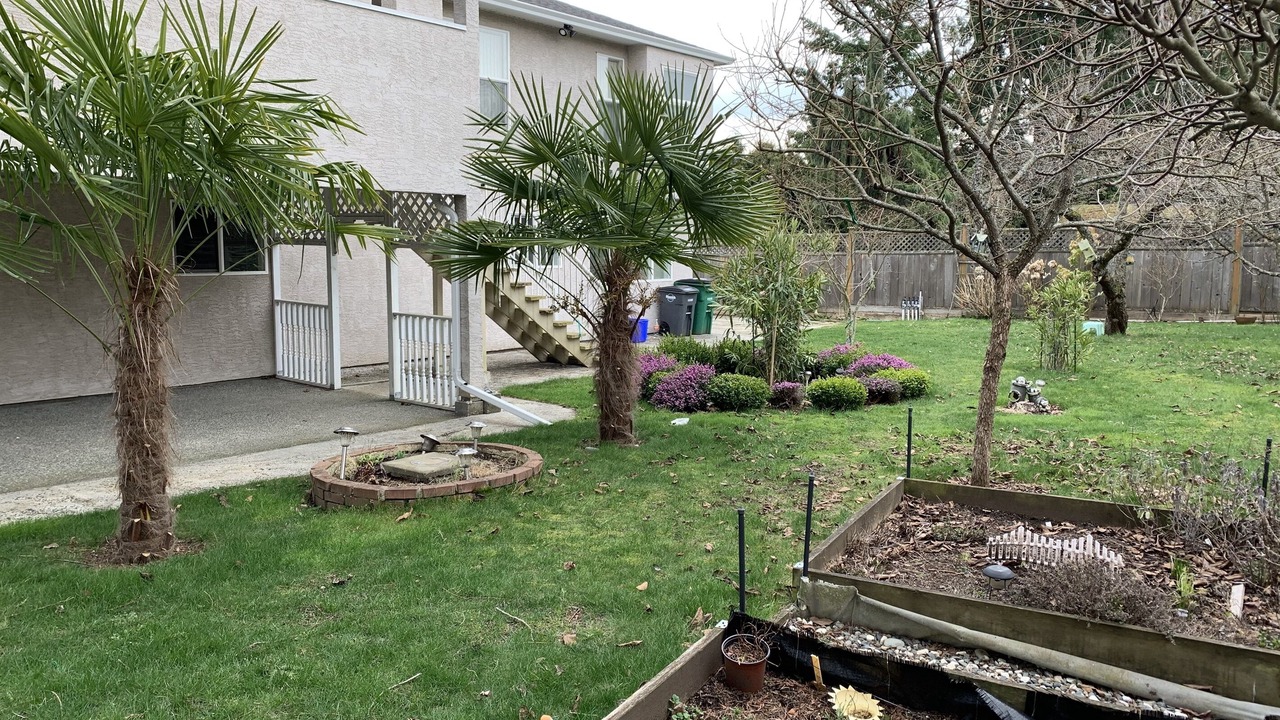 Photo of Outdoor in Saanich West