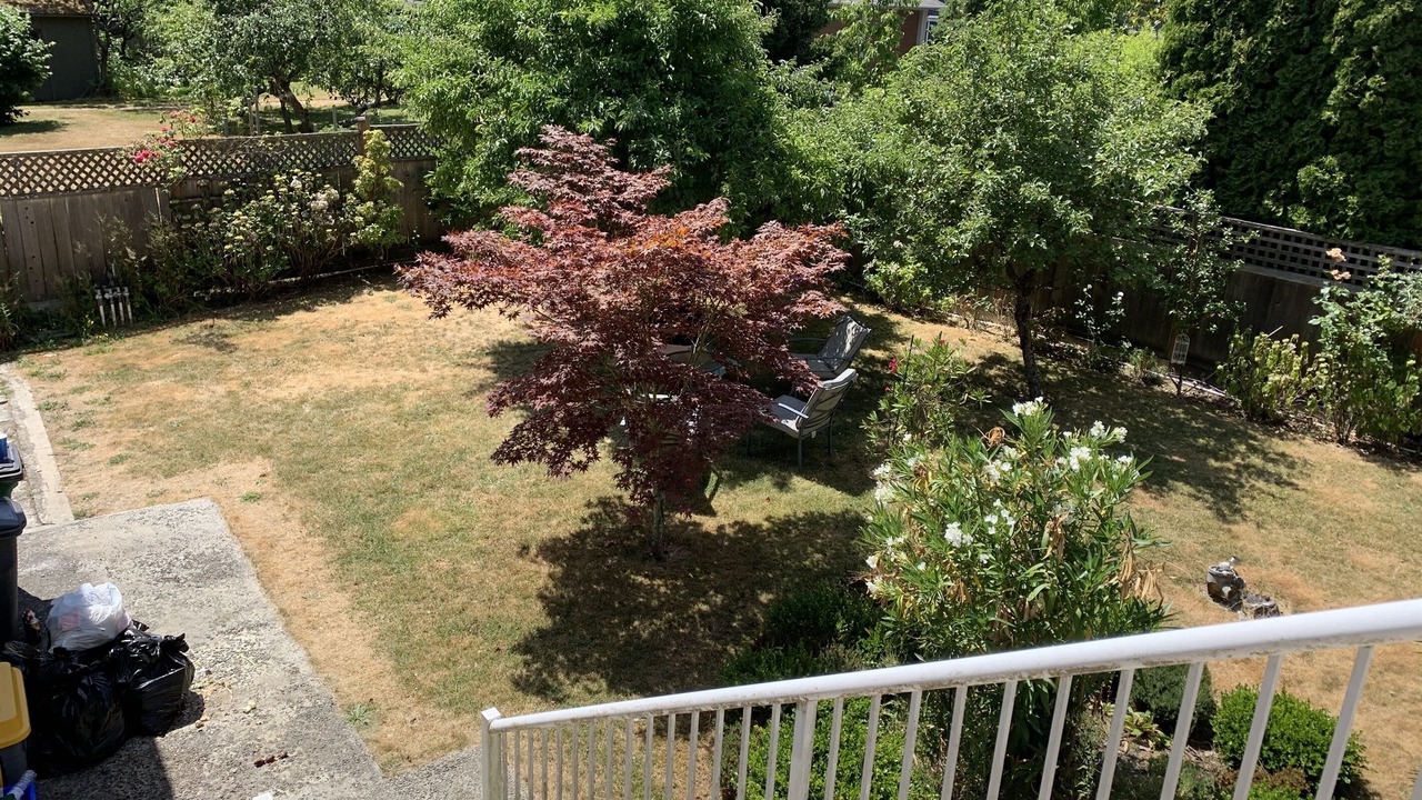 Photo of Outdoor in Saanich West