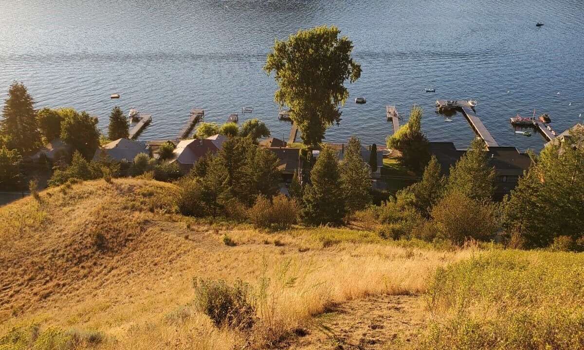 Photo of Others in Vernon