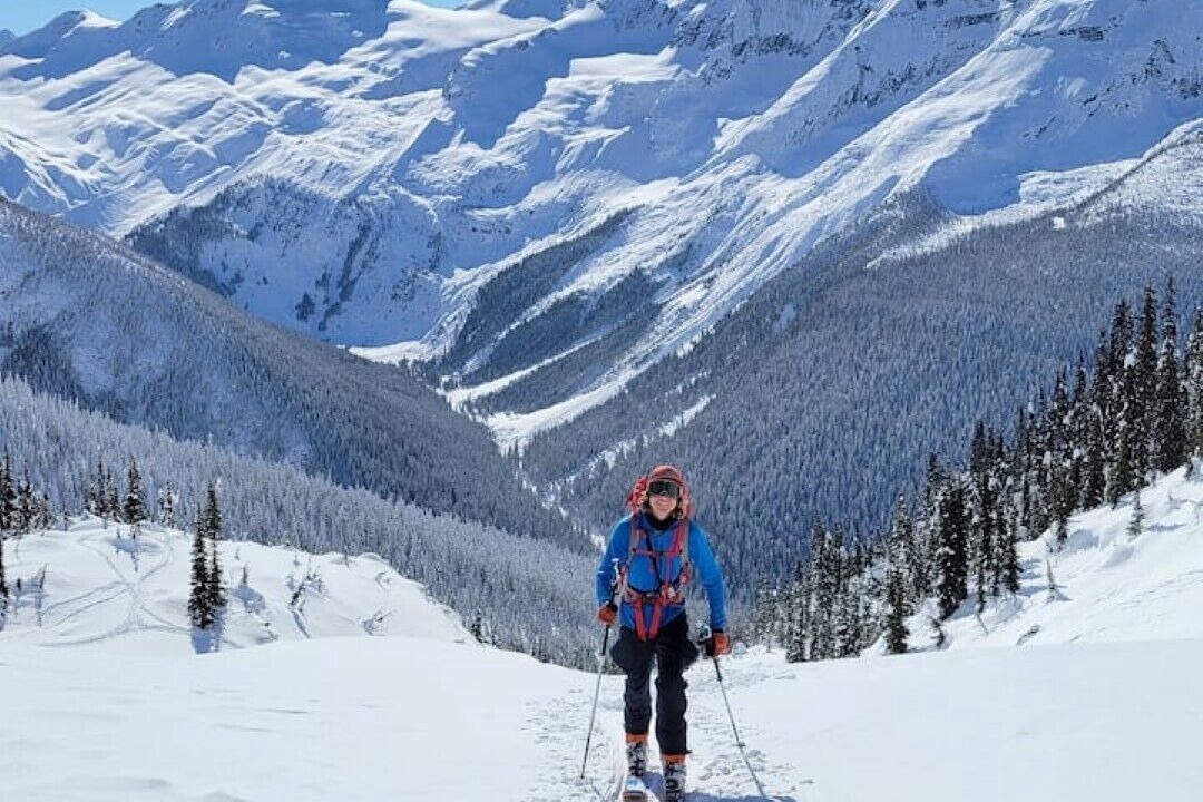 Photo of Others in Blaeberry