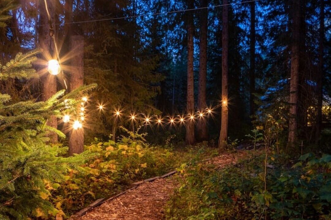 Photo of Outdoor in Blaeberry