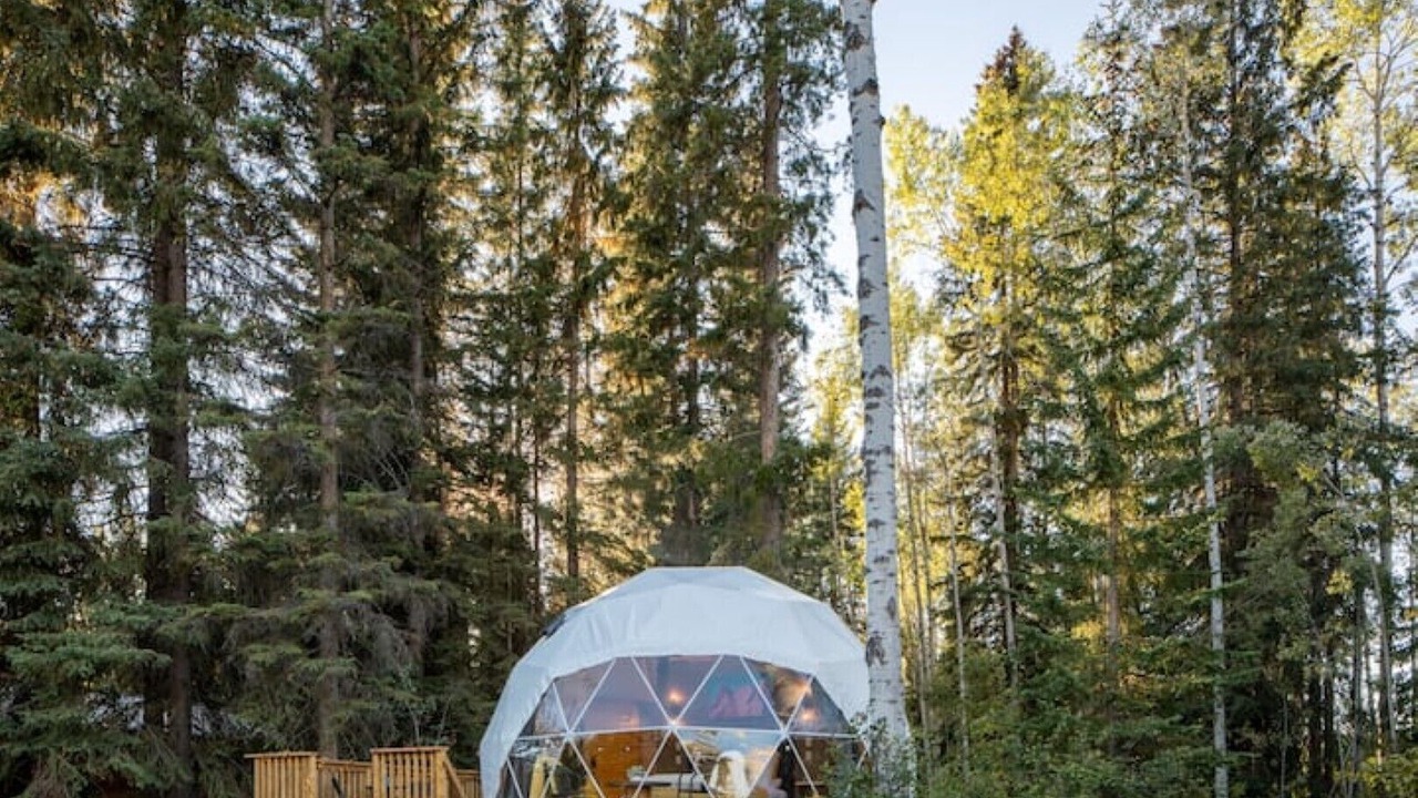 Photo of Outdoor in Blaeberry