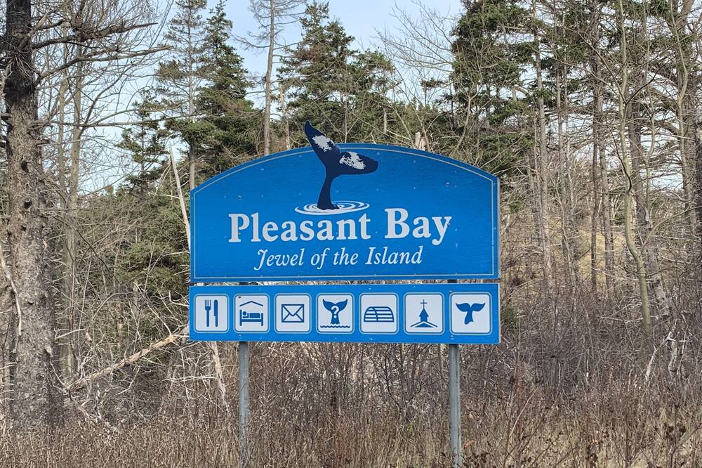 Photo of Others in Pleasant Bay