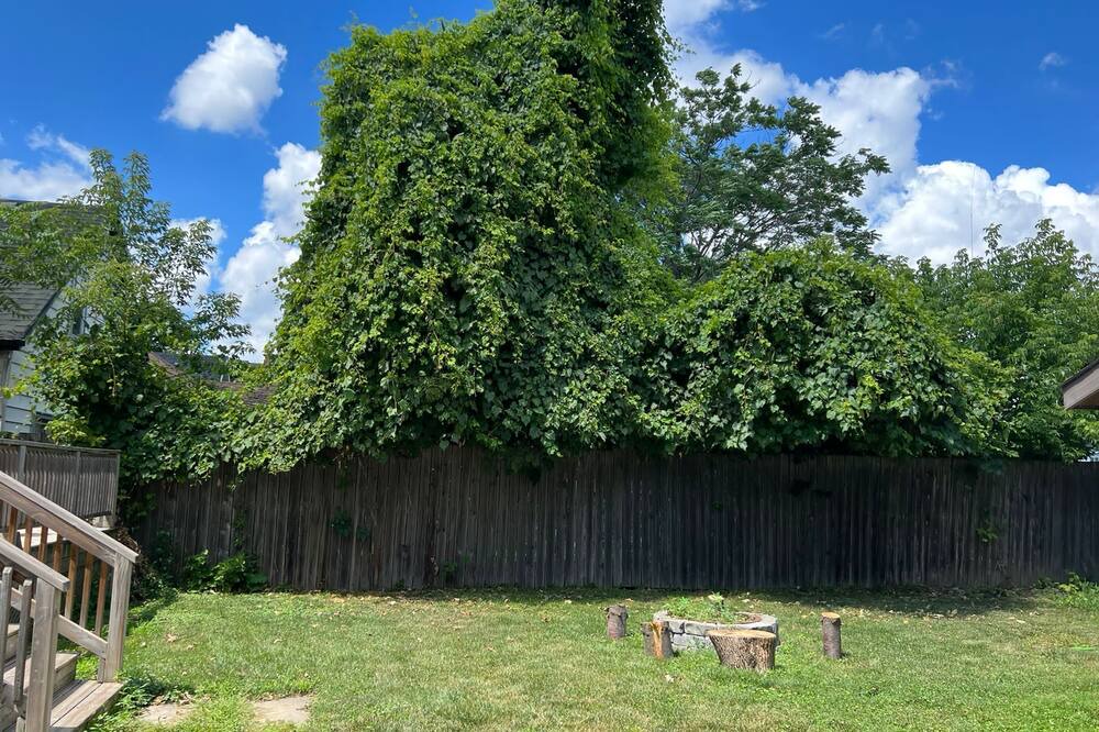 Photo of Outdoor in Hamilton