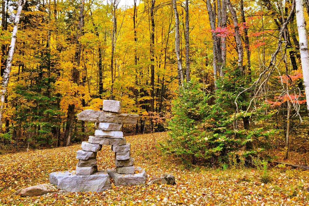 Photo of Outdoor in Minden Hills
