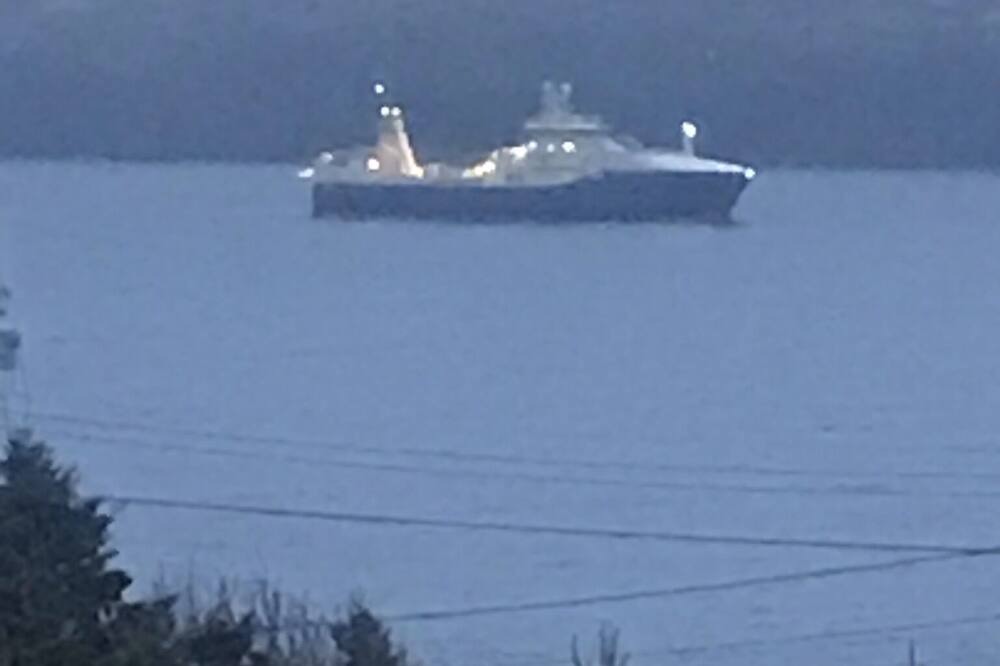 Photo of Others in Port de Grave