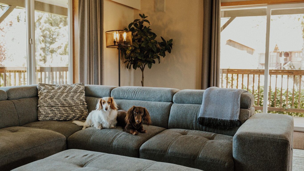 Photo of Livingroom in Kent