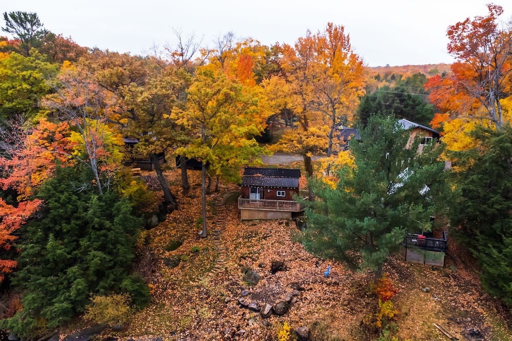 Photo of Outdoor in Muskoka Lakes