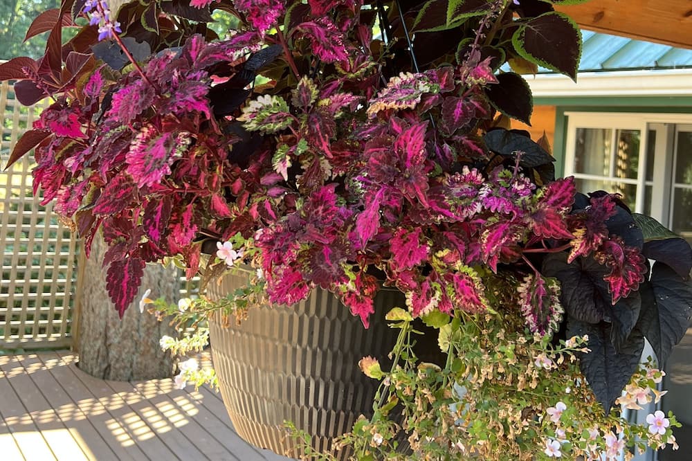Photo of Outdoor in Bowen Island