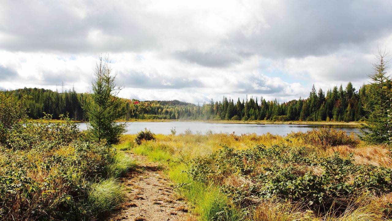 Photo of Outdoor in Mont-Tremblant