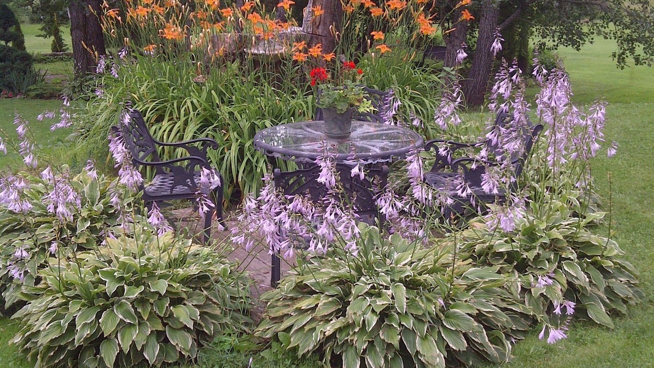 Photo of Outdoor in Elmsdale