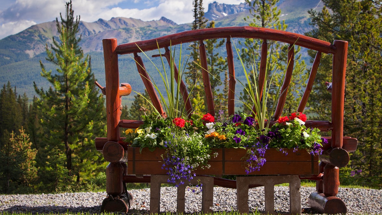 Photo of Outdoor in Lake Louise