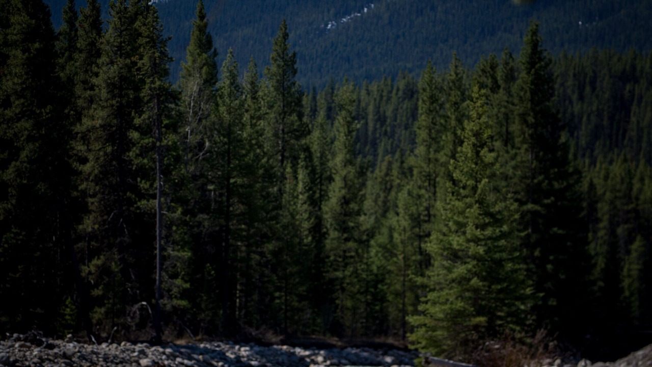 Photo of Others in Lake Louise