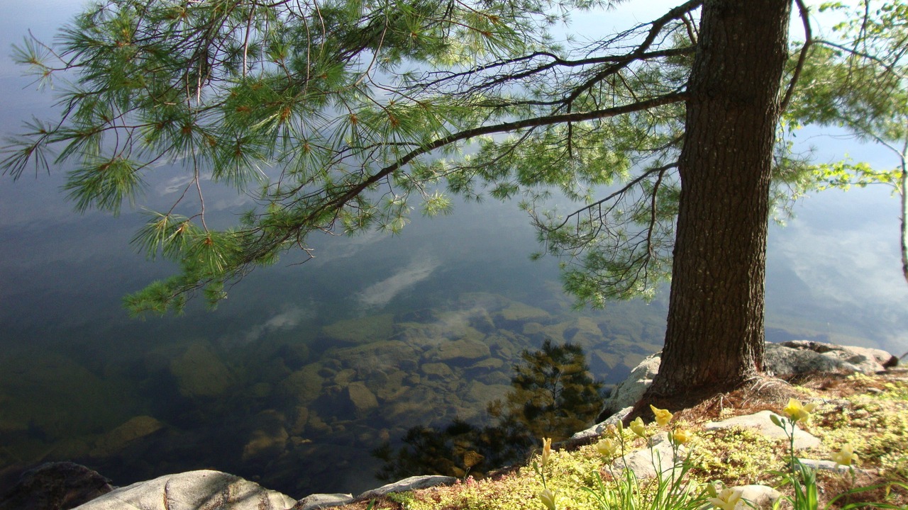 Photo of Outdoor in Sainte-Marguerite-du-Lac-Masson
