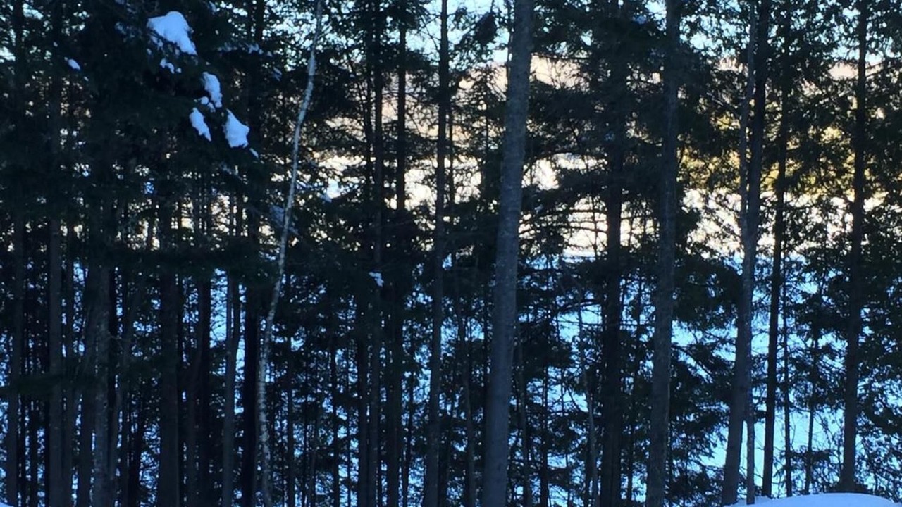 Photo of Others in Sainte-Marguerite-du-Lac-Masson