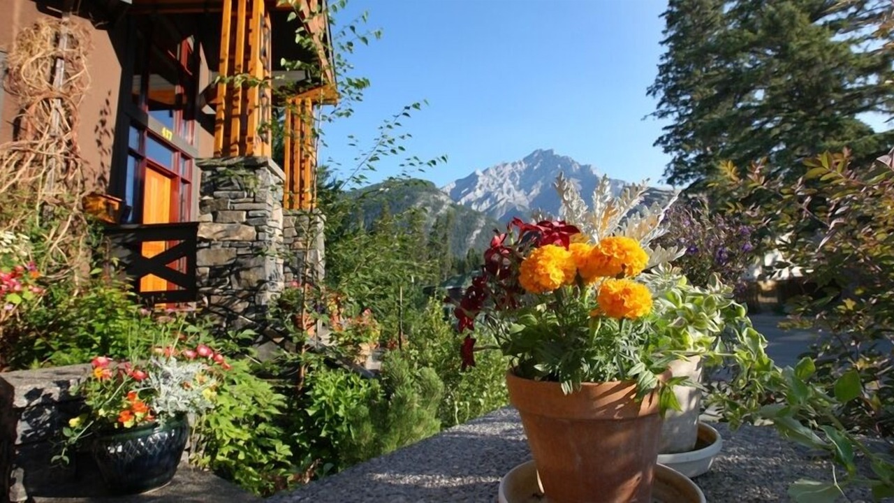 Photo of Outdoor in Banff