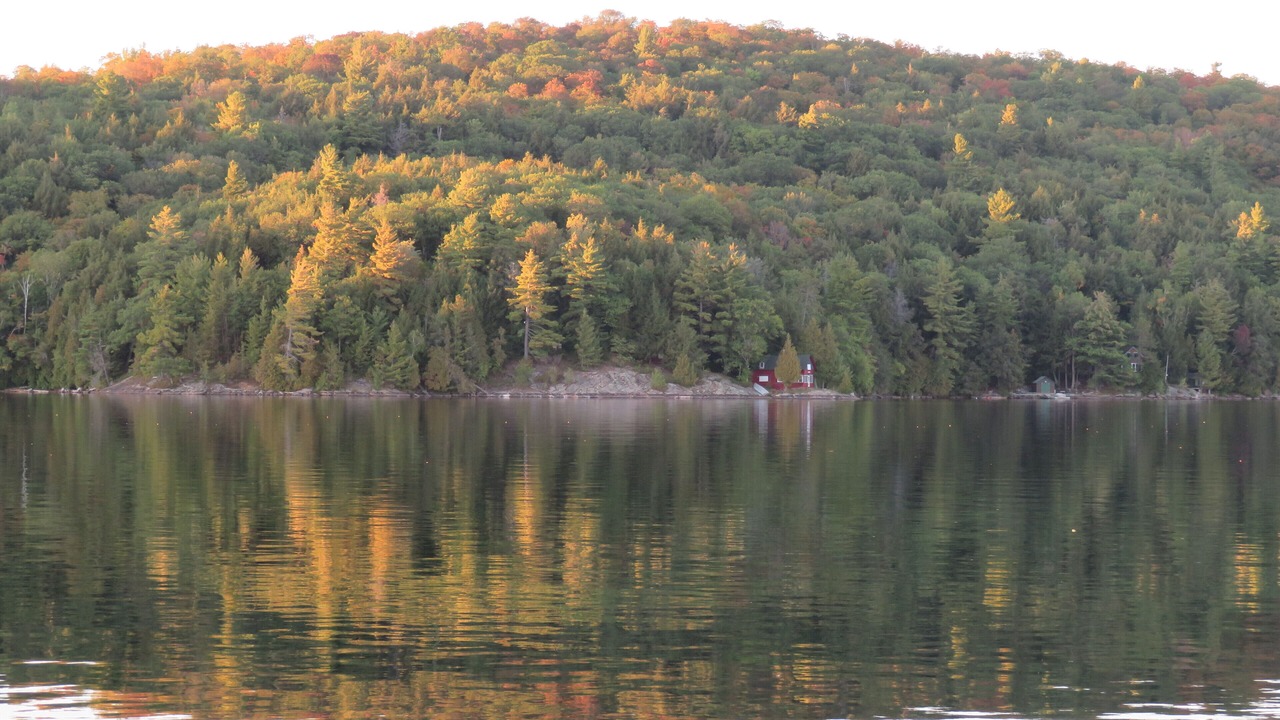 Photo of Others in Algonquin Highlands