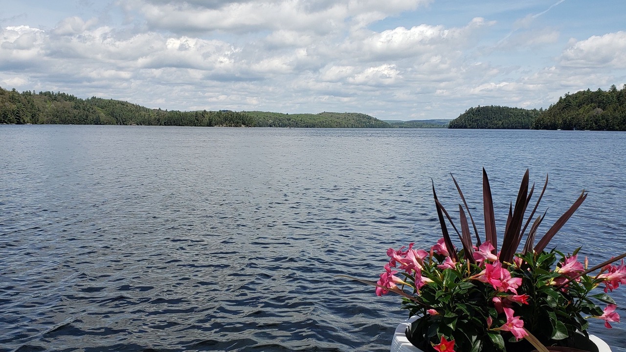 Photo of Outdoor in Algonquin Highlands