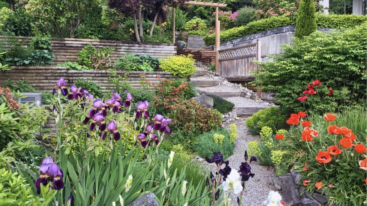 Photo of Outdoor in Sechelt