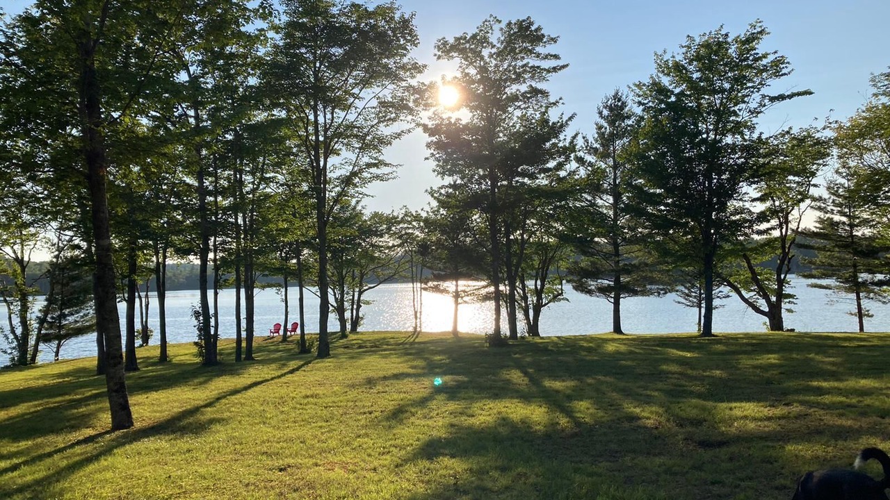 Photo of Outdoor in Clare