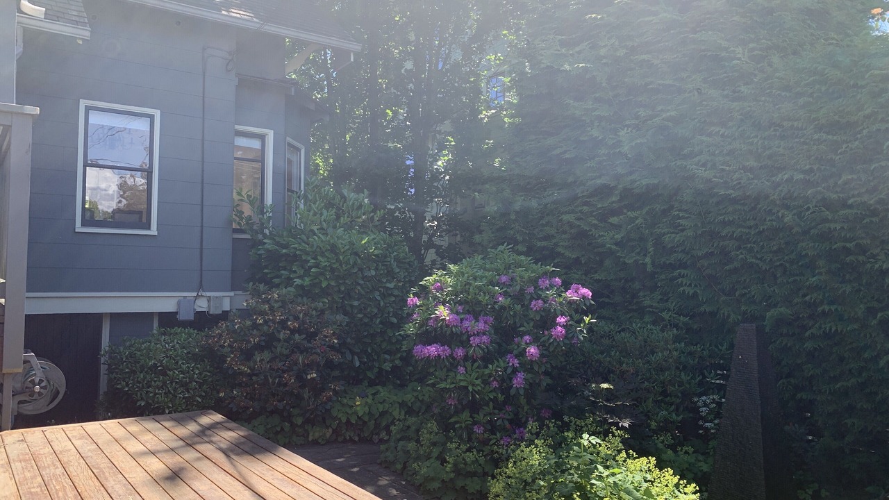 Photo of Outdoor in Shaughnessy