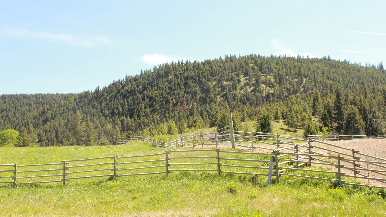 Photo of Outdoor in Clinton