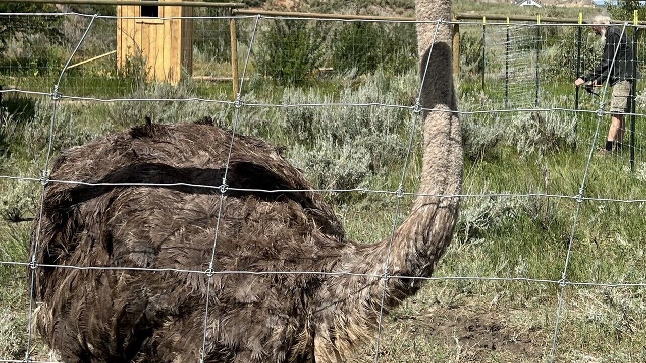 Photo of Outdoor in Drumheller