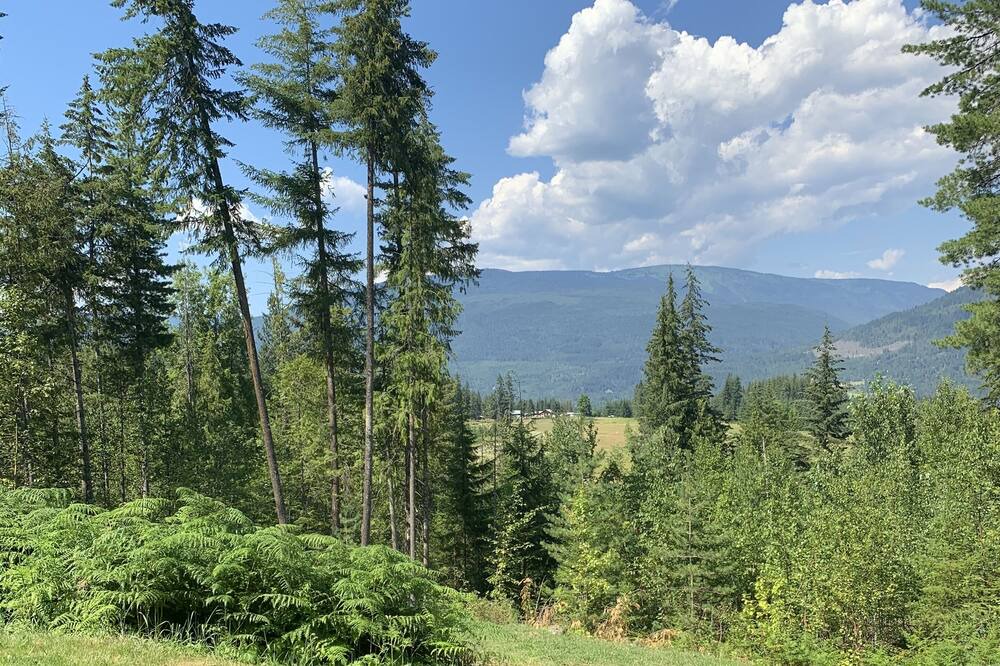 Photo of Outdoor in Eagle Bay