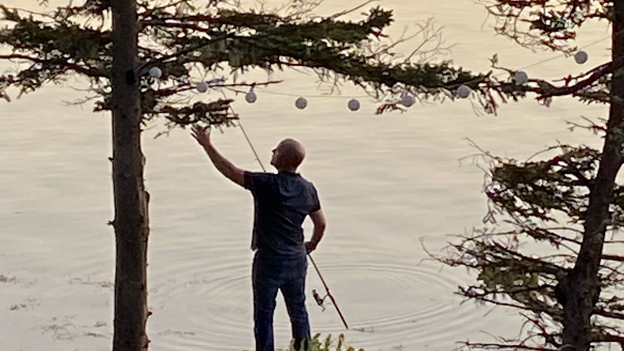 Photo of Others in Spry Bay