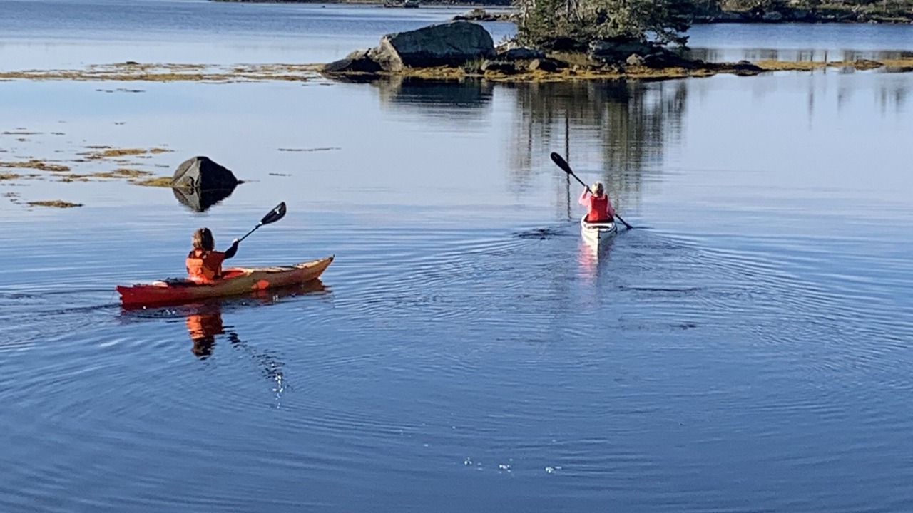 Photo of Others in Spry Bay