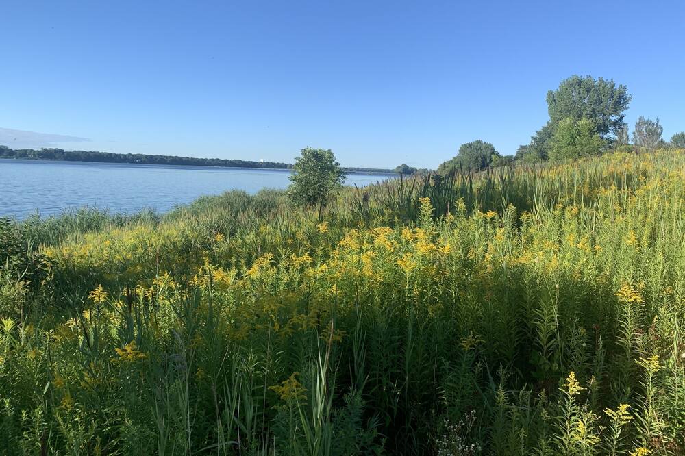 Photo of Outdoor in Verdun