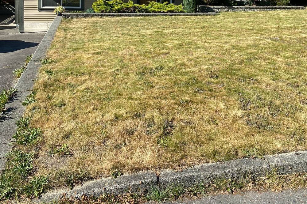 Photo of Outdoor in Maple Ridge