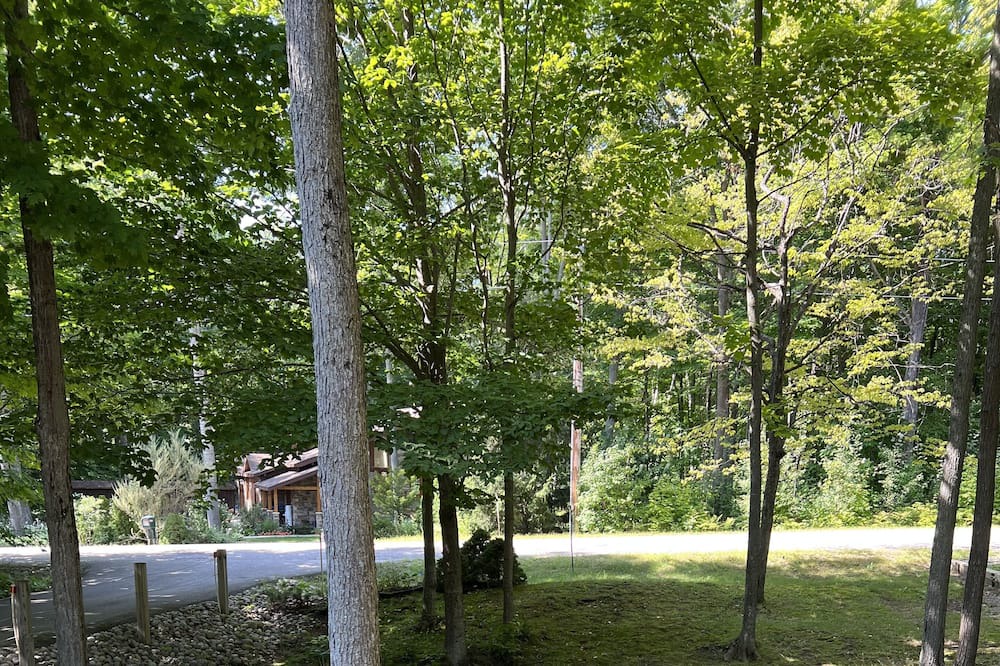 Photo of Outdoor in Tiny