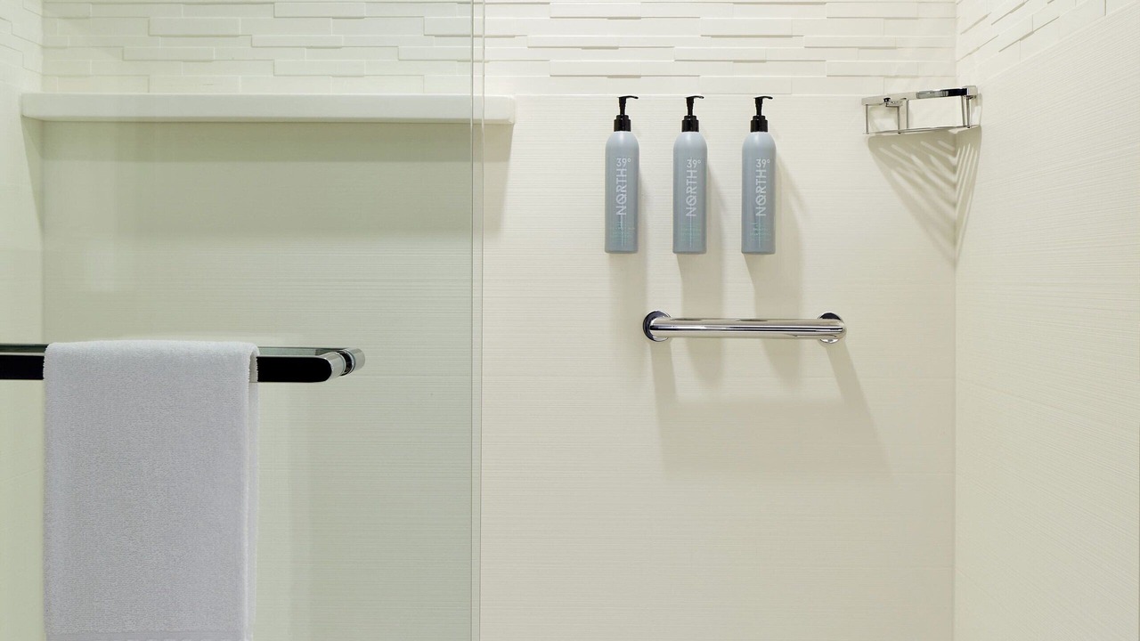 Photo of Bathroom in Cote-Des-Neiges—Notre-Dame-De-Grace