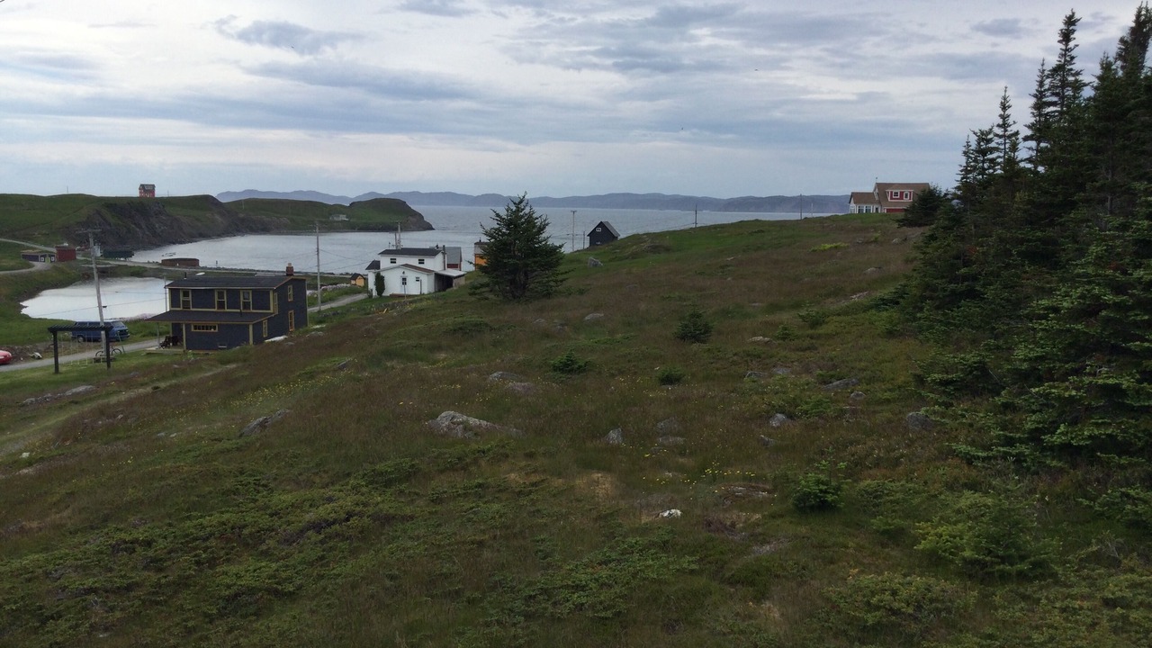 Photo of Outdoor in Terra Nova