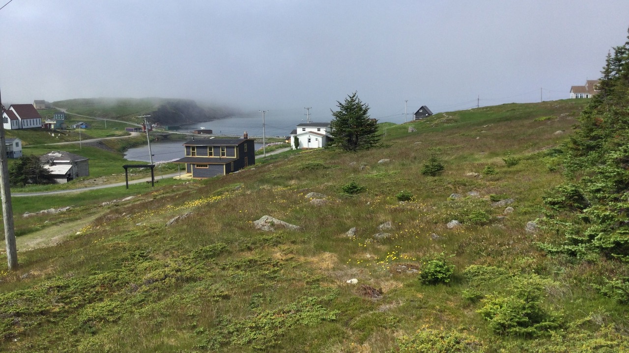 Photo of Outdoor in Terra Nova