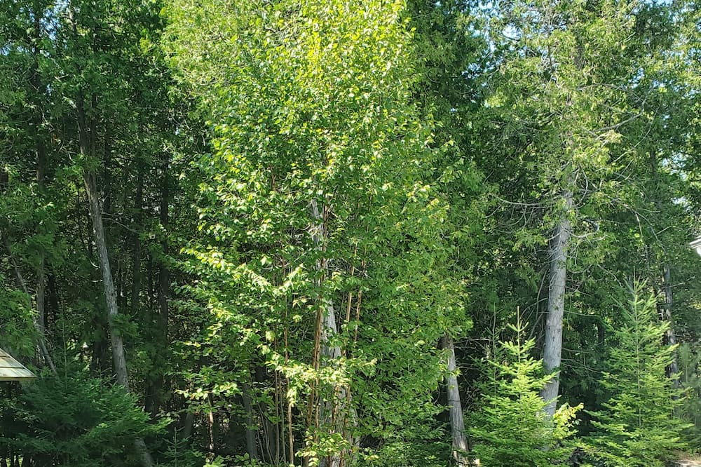 Photo of Others in Sauble Beach